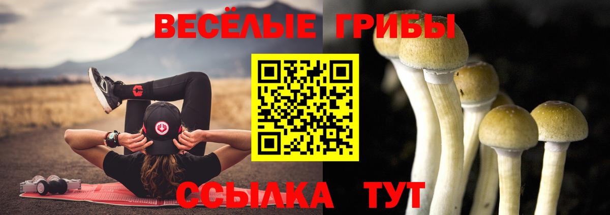 Туапсе  Галлюциногенные грибы Psilocybe  Вход с VPN 